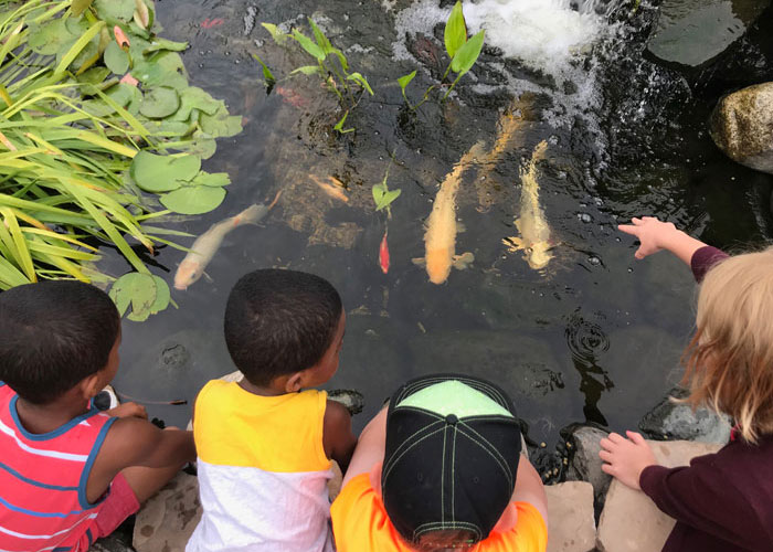 Preuss-Pets-Feeding-Fish-kids-pond-feature