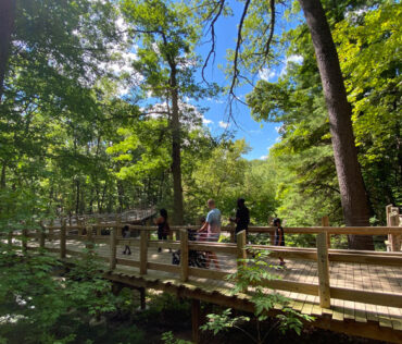 John Ball Zoo Walkway