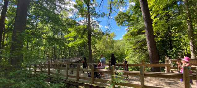 John Ball Zoo Walkway