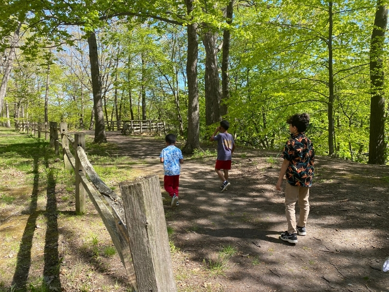 Oak-Park-walking-trail-at-the-Top-of-the-Ledges-and-lookout-point-in-the-distance