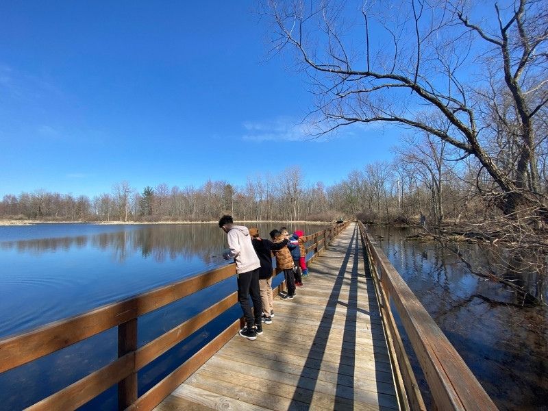 Hawk Meadow Boardwalk - Brooks