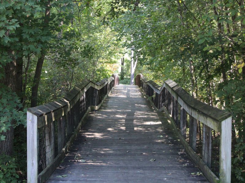 Riverside Park Trail - City of DeWitt website