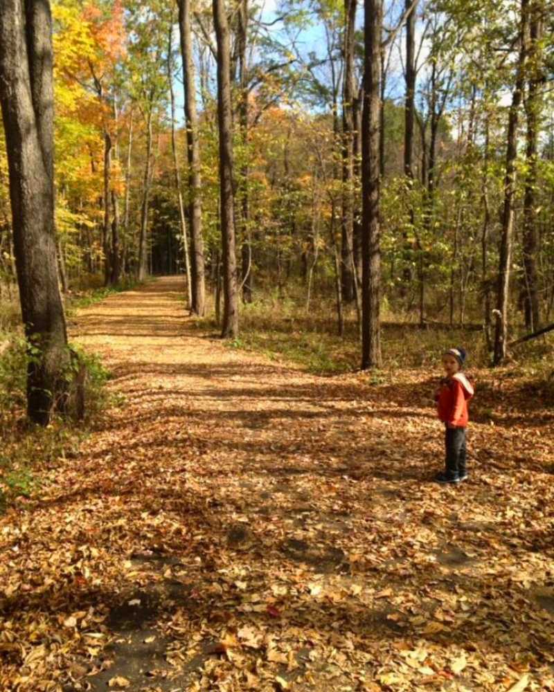 Schavey Road Trail DeWitt