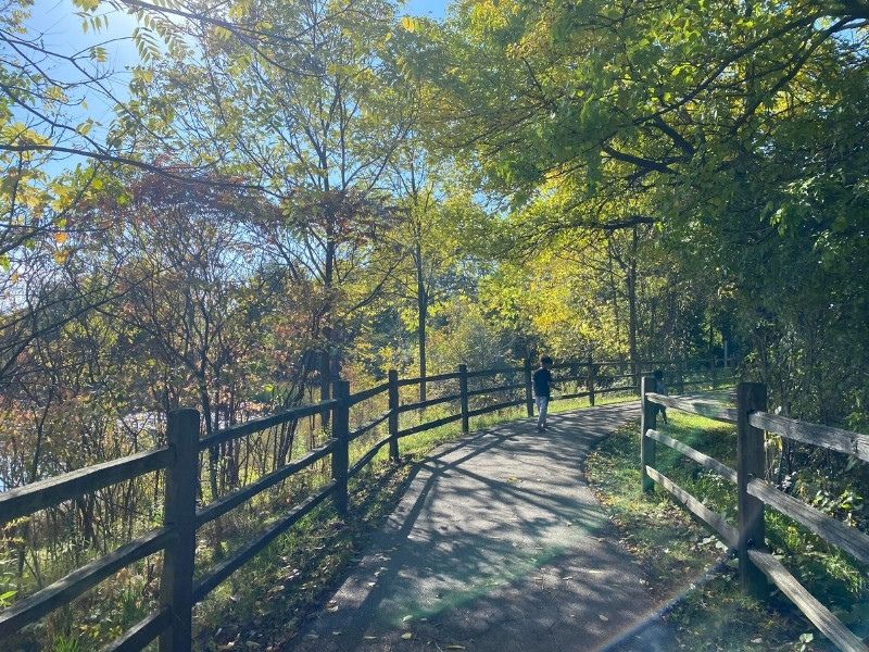 Tollgate Wetlands - Brooks