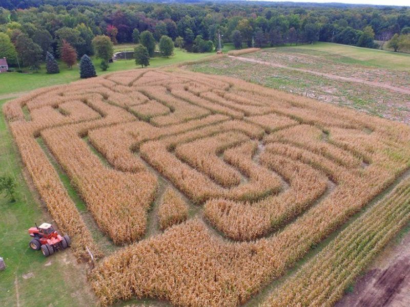 Red-Egg-Farm-Spring-Arbor-Corn-Maze