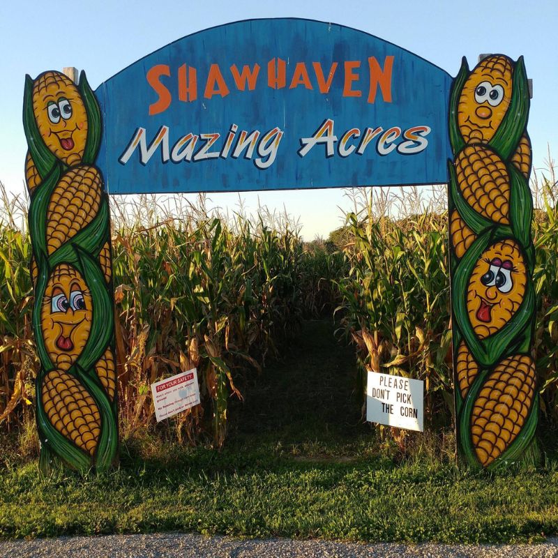 Shawhaven-Farm-Mason-Corn-Maze entrance