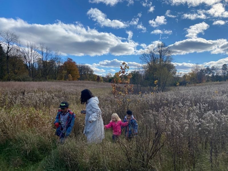 Fenner Nature Center, Lansing, Brooks