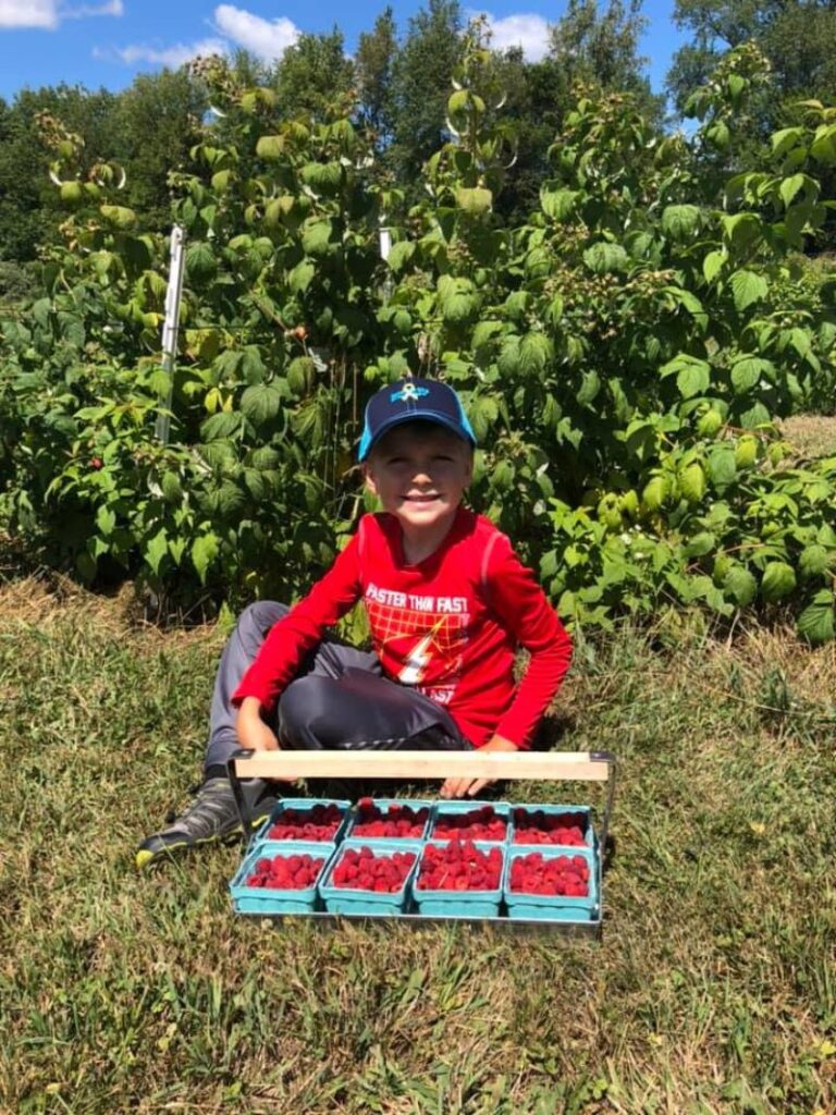 Boy with fresh picked raspberries from Schafer's Raspberries in Williamston