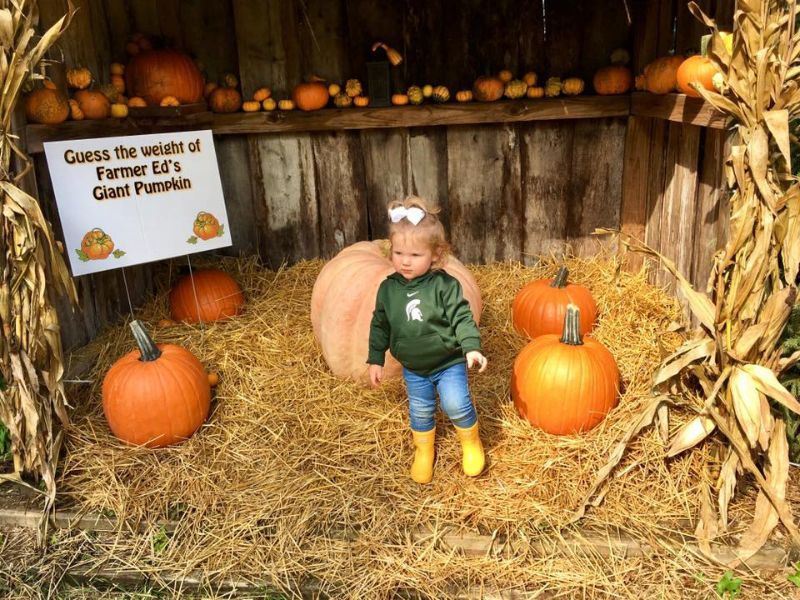 Peacock Road Tree Farm Pumpkin Weight Guessing - Eklund