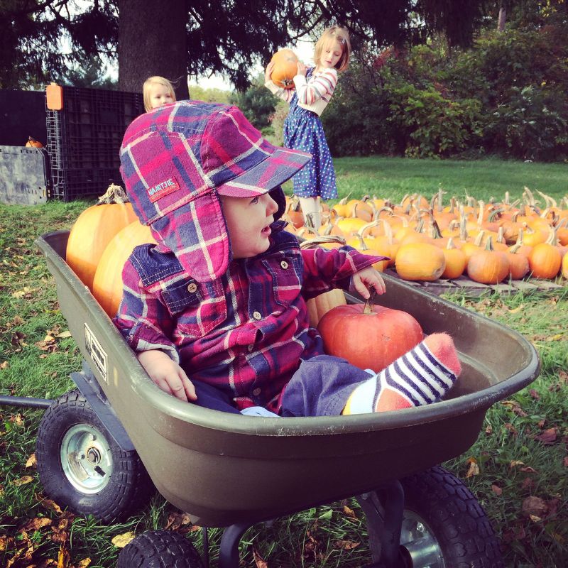 Boy in wheelbarrow at the pumpkin patch - GRK