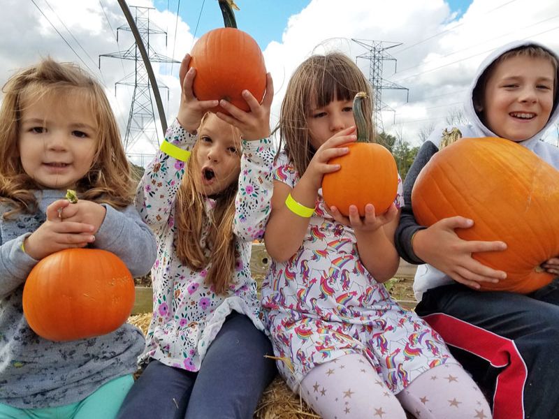 Pumpkin Patch Kids - Rudd 