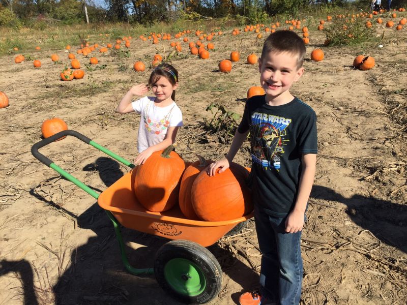 Pumpkin Picking - Kaschyk