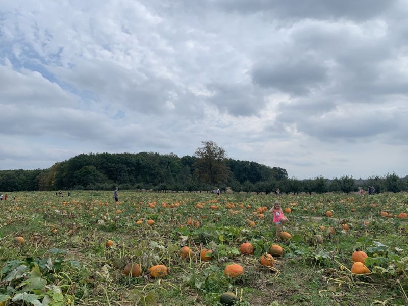 Uncle John's Cider Mill Pumpkin Patch - Eklund