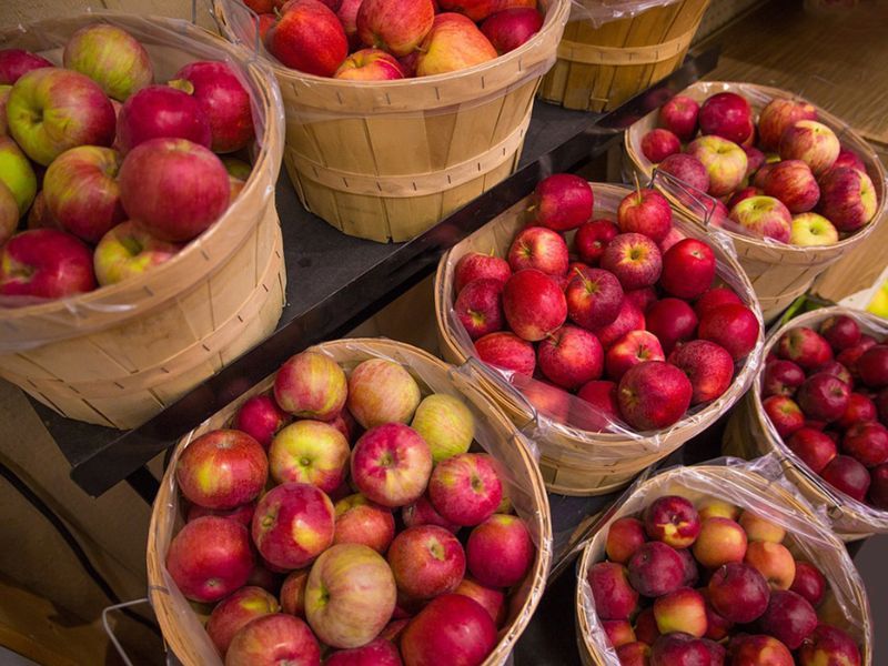 Bushels of Apples, Phillips Orchard, Lansing