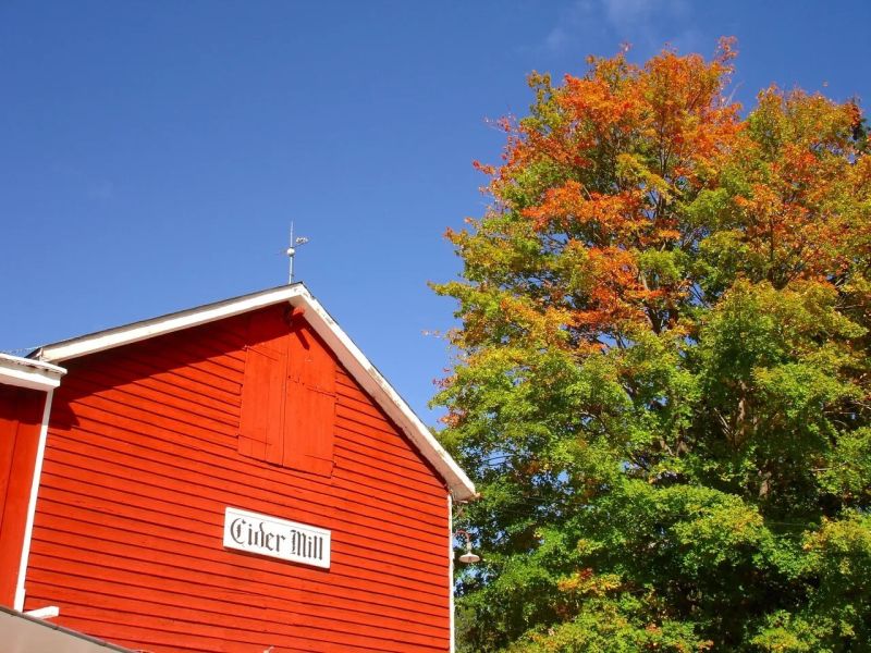 Phillips orchard barn with fall tree