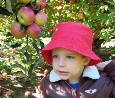 apple picking clearwater orchard