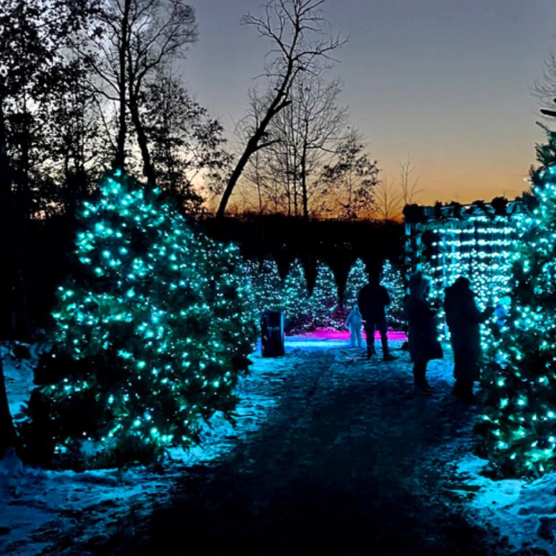 Glenlore Trails Aurora Christmas Light Trail Michigan