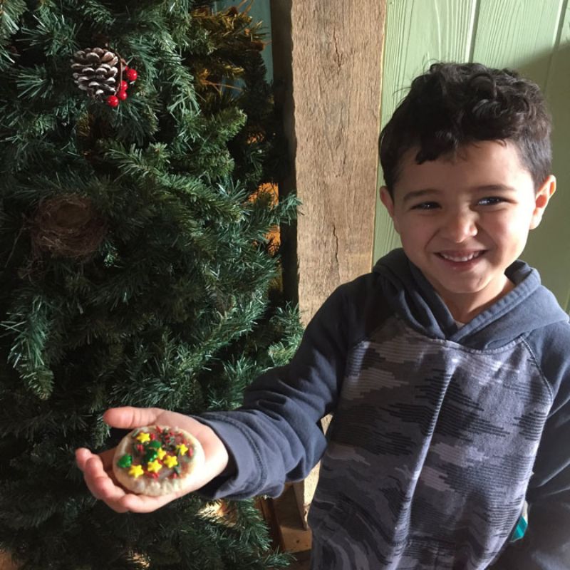 Cookie decorating event at Woldumar Nature Center