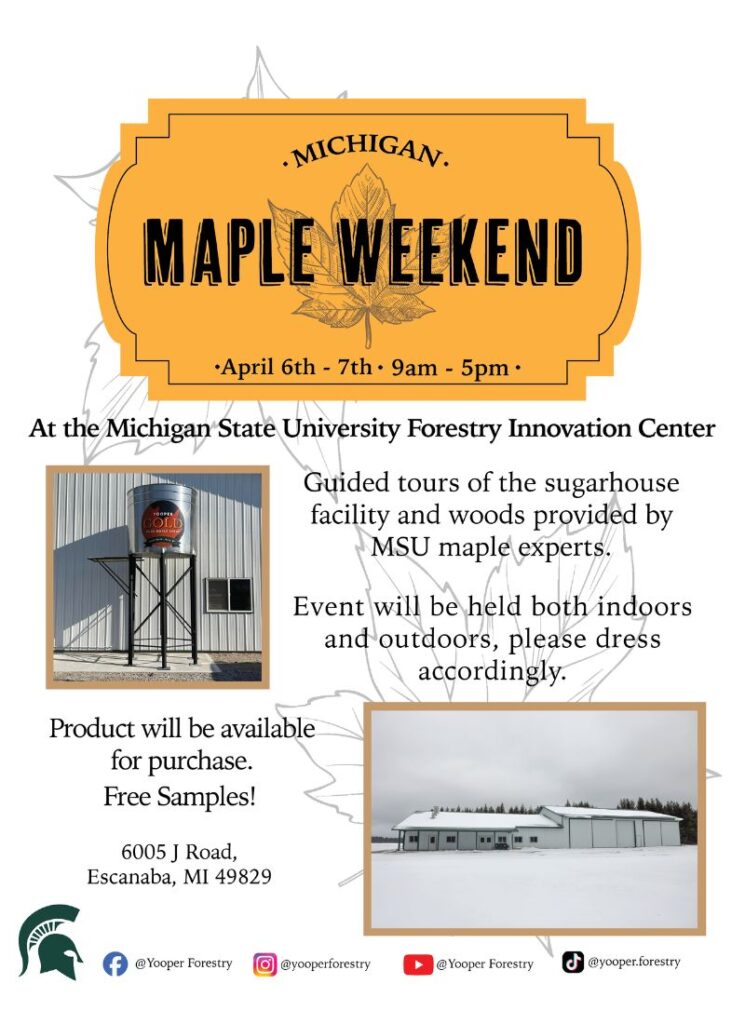 michigan state university forestry innovation center maple weekend escanaba 2024