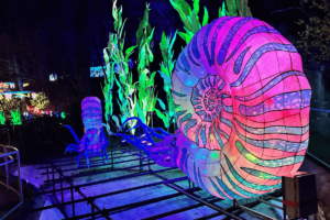 Shine On! Grand Rapids Lantern Festival Back for 2026