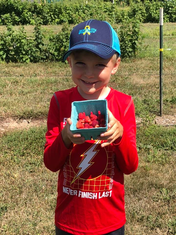 Boys holding fresh picked raspberries, u pick fruit