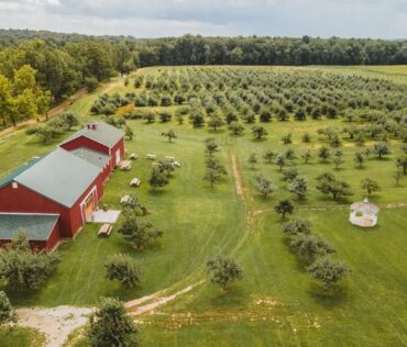 Alber Orchard and Cider Mill