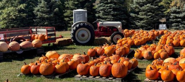 Erite Orchard and Cider Mill in Erie, MI