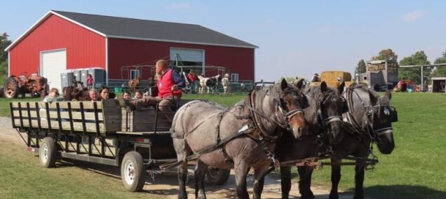Fruit Ridge Hayrides, Kent City, Michigan