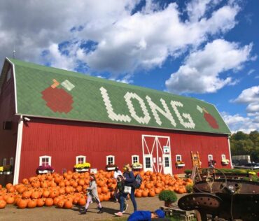Long Family Orchard, Farm & Cider Mill in Commerce, MI