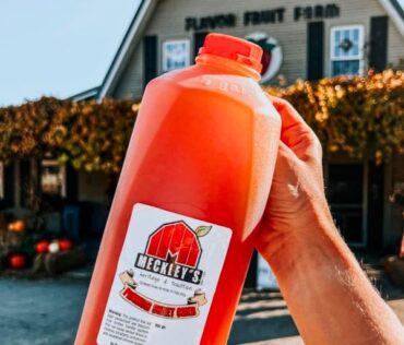 Cider from Meckley's Flavor Fruit Farm in Cement City, MI