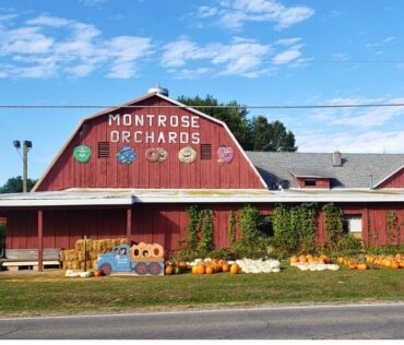 Montrose Orchards in Montrose, MI