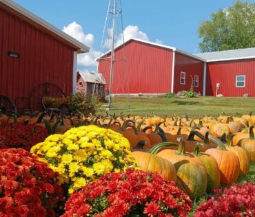 Pierson Orchard and Cider Mill in Orleans, MI