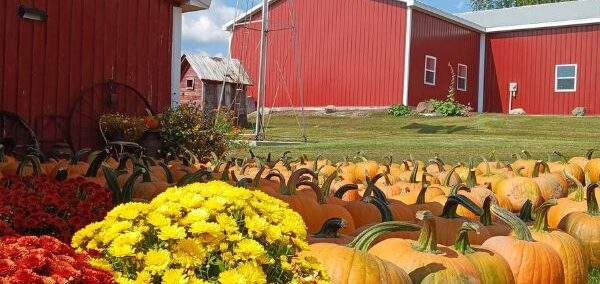 Pierson Orchard and Cider Mill in Orleans, MI