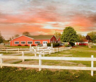 Plymouth Orchards and Cider Mill in Plymouth, MI