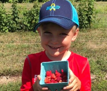 Raspberry Picking At Schafers Raspberries Koss 1