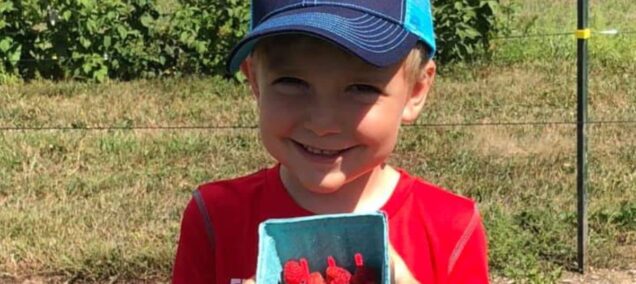 Raspberry Picking At Schafers Raspberries Koss 1