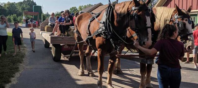 hayrides at Robinette's Apple Cider Mill in Grand Rapids MI
