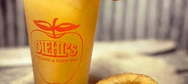 Cider Slushee and Donuts from Diehl's Orchard and Cider Mill in Holly, MI