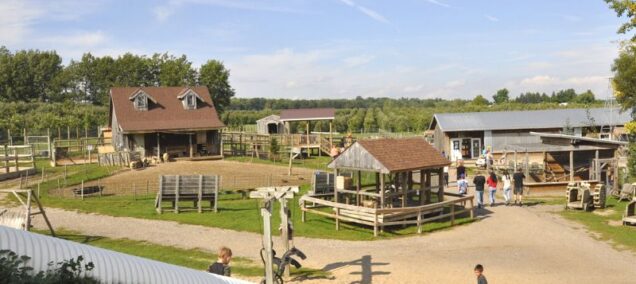 Anderson and Girls Orchard and Petting Zoo Stanton MI