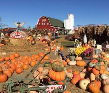 three cedars farm northville michigan