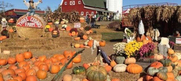 three cedars farm northville michigan