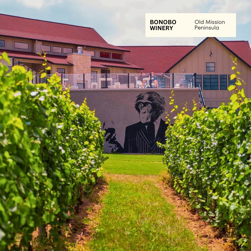 Bonobo Winery Old Mission Peninsula