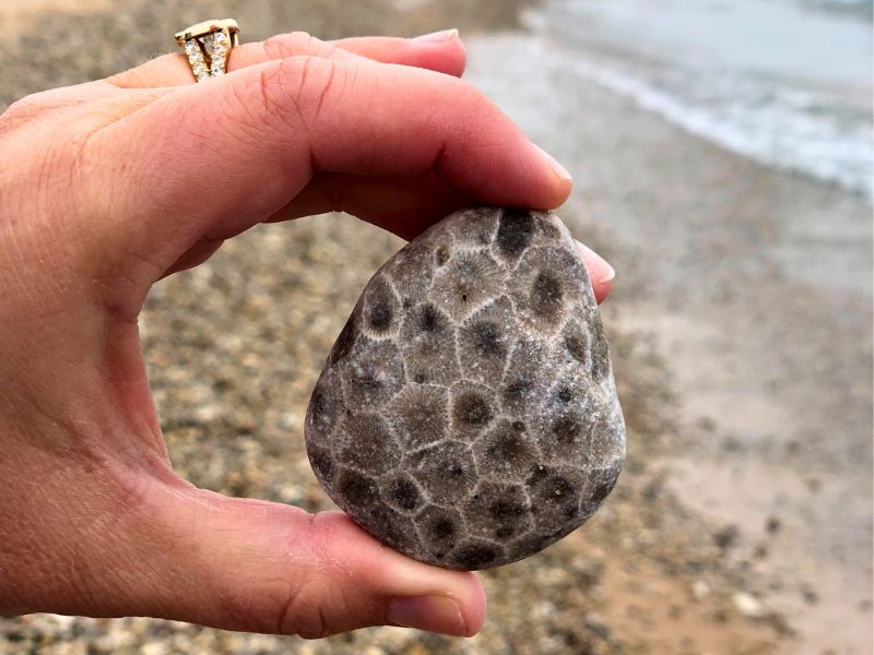 Holding a large Petoskey stone found at Cross Village Beach in Michigan
