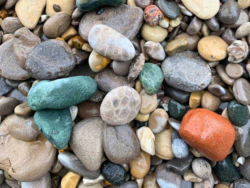 Up Close view of Michigan Rocks, including some Petoskey Stones