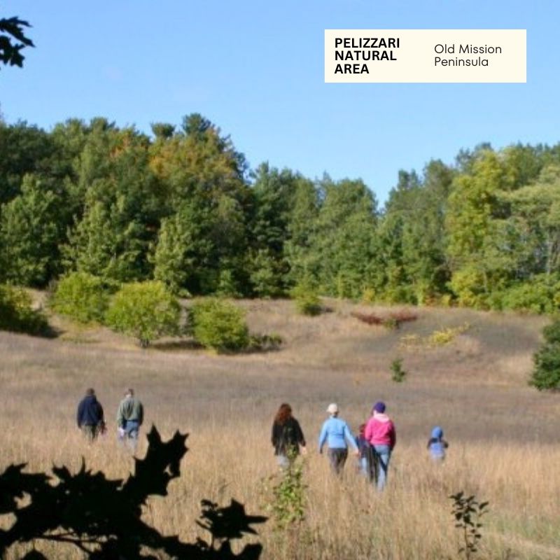 Pelizzari Natural Area Old Mission Peninsula