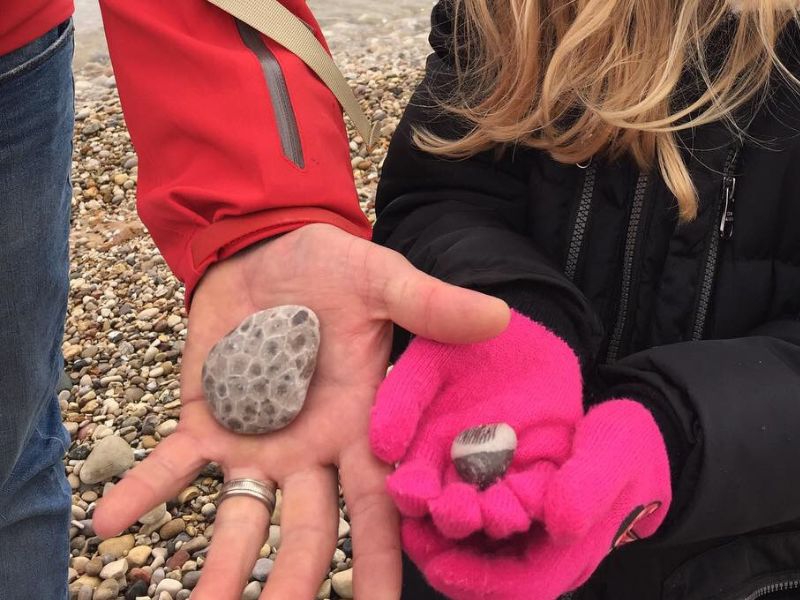 Rock Hunting in Michigan, finding Petoskey stones and fossils