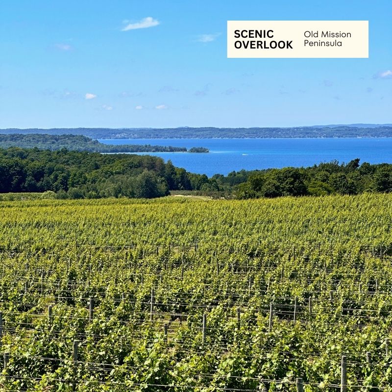 Scenic Overlook Old Mission Peninsula