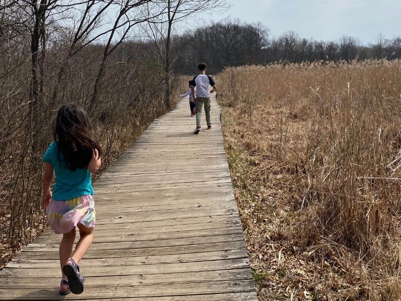 Haslett-Boardwalk