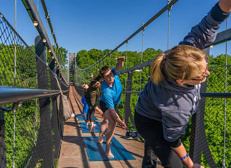 yoga in the sky skybridge michigan