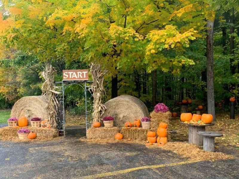 Allendale-Pumpkin-path-entrance
